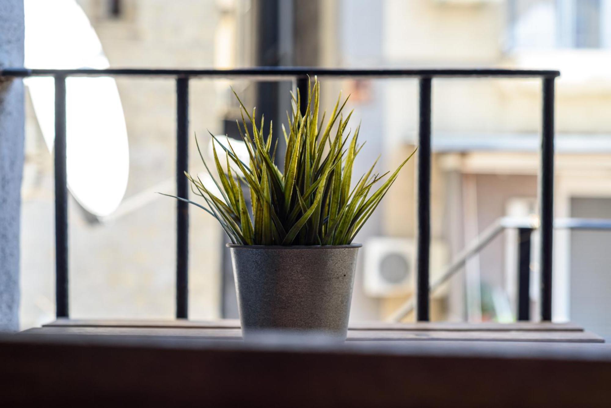 La Terrazzina Sul Porto Apartment Napoli Ngoại thất bức ảnh