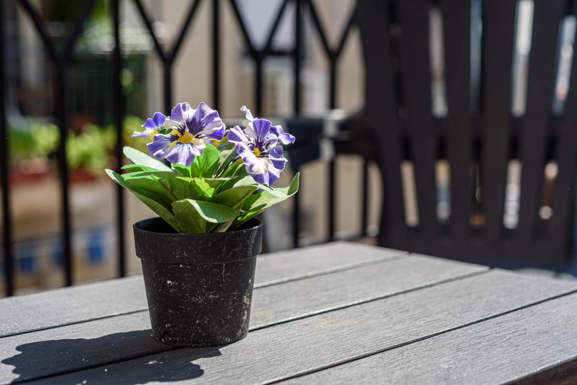 La Terrazzina Sul Porto Apartment Napoli Ngoại thất bức ảnh